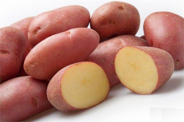 Картофель Ред Скарлетт 1 кг семенной – купить в питомнике \