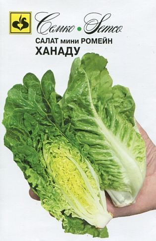 Салат кочанный мини-ромэйн Ханаду, семена