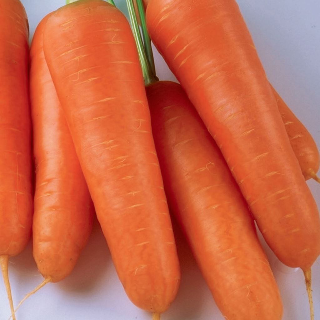 Морковь Красный великан, семена