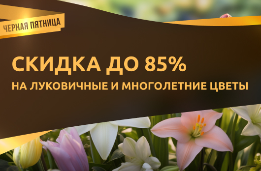 Скидка до 85% на луковичные и многолетние цветы