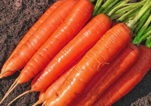 Морковь Мармелад красный 2,0 г