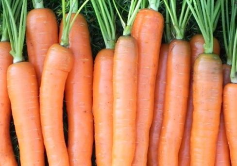 Морковь Зимний цукат 2,0 г
