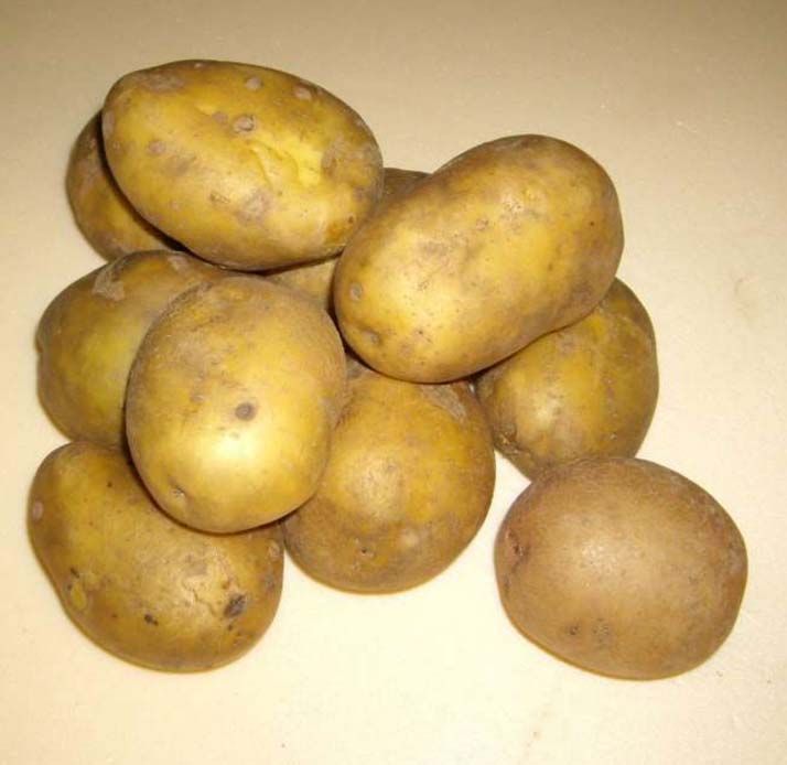 Картофель Лукьяновский 1 кг