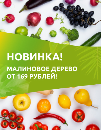Новинка! Малиновое дерево от 169 рублей