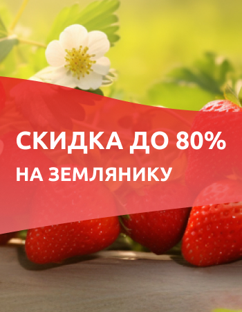 Земляника со скидками до 80%