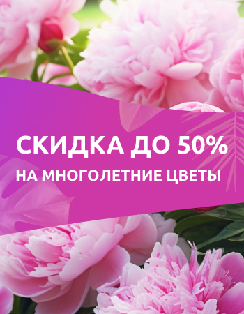 Скидка на многолетние цветы до 50%