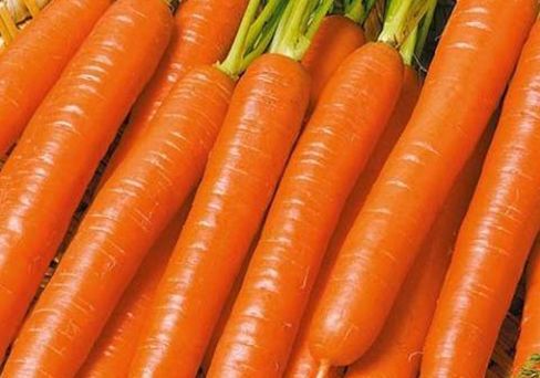 Морковь Витаминная 6 8 м.