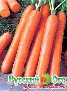 Морковь Рубиновая F1, семена