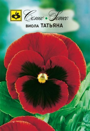 Виола Татьяна, семена