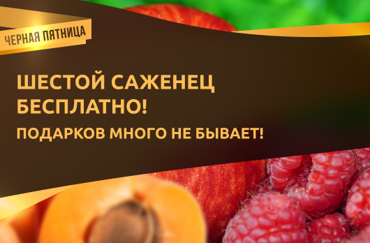 Шестой саженец бесплатно! Подарков много не бывает! 