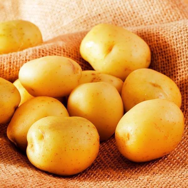 Картофель Лакомка, семена