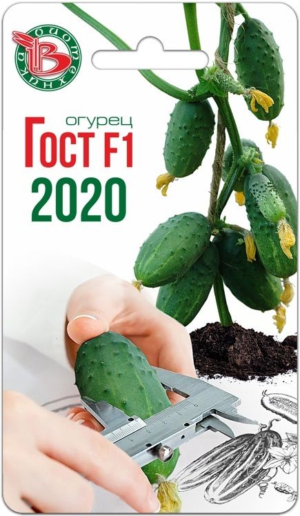 Огурец Гост F1 2020, семена