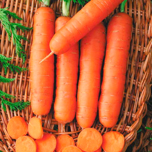 Морковь Детская сладость, семена