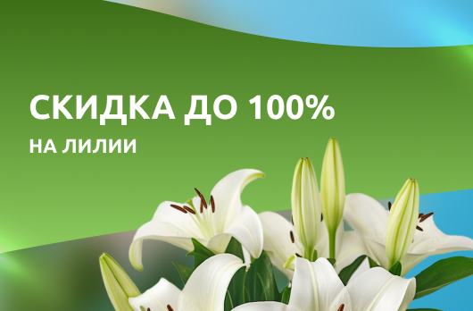 Лилии со скидкой до 100% 