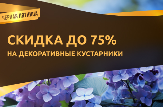 Декоративные кустарники со скидкой до 75%