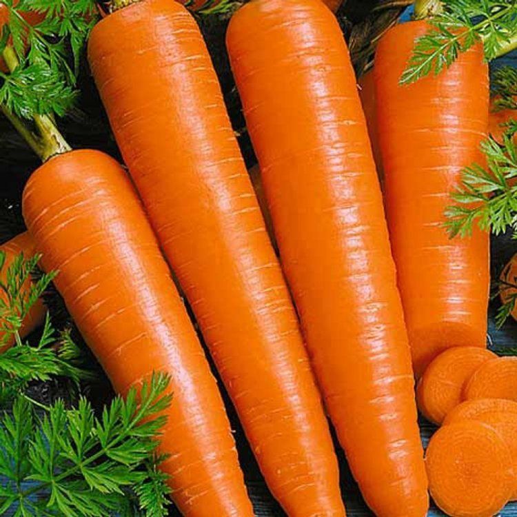 Морковь Вита Лонга, семена на ленте