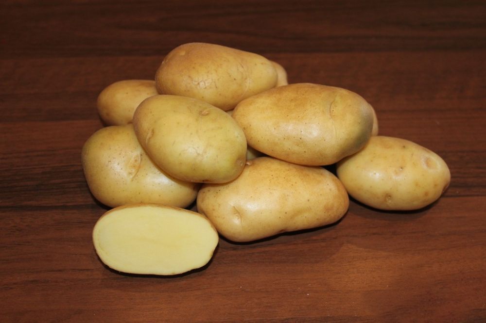 Картофель Жигулевский 1 кг семенной – купить в питомнике \