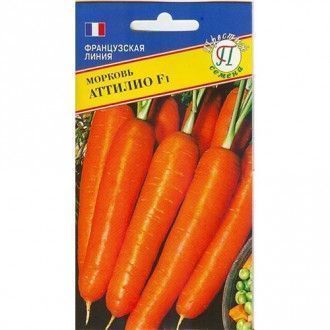 Морковь Аттилио, семена