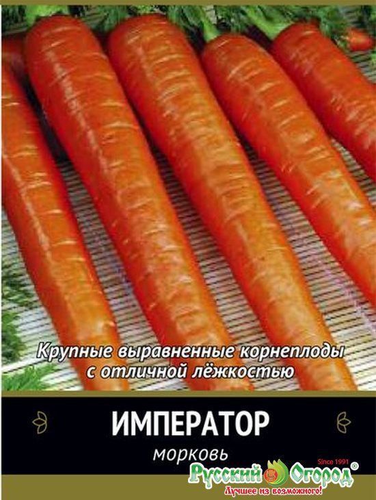 Морковь Курода Шантанэ, семена
