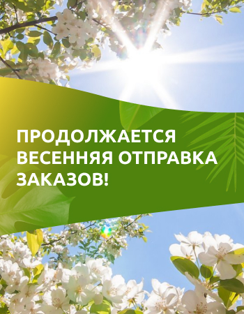 Продолжается весенняя отправка заказов!