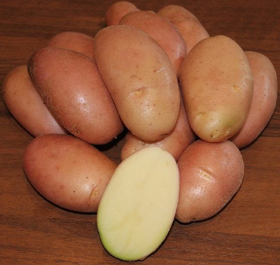 Картофель Фаворит 1 кг