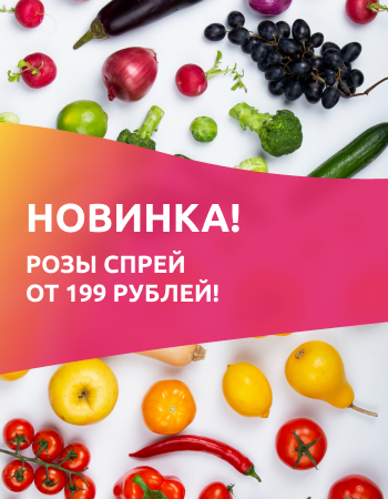 Новинка! Розы спрей по 199 рублей