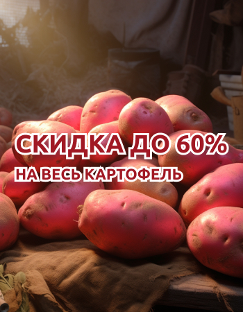 Картофель со скидкой до 60%