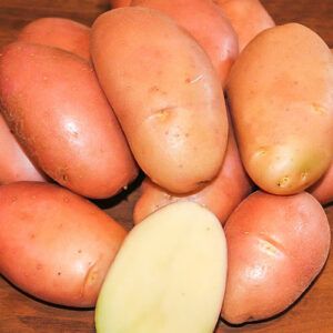Картофель Женечка 1 кг