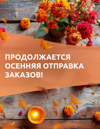 Продолжается осенняя отправка заказов!