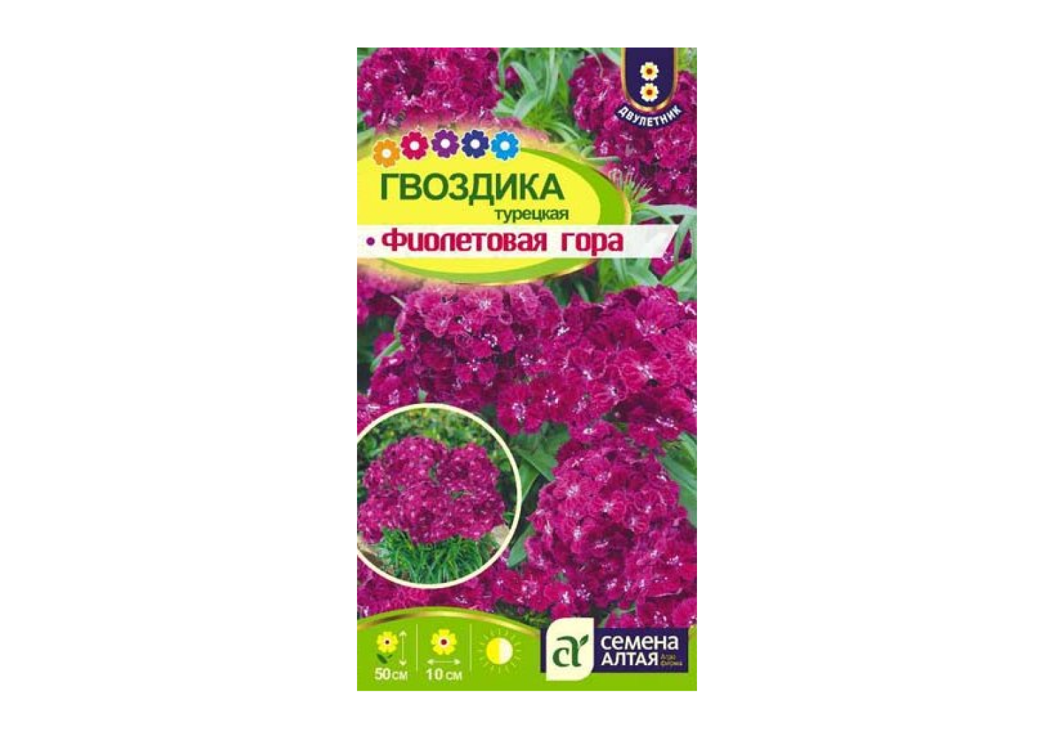 Гвоздика турецкая Фиолетовая гора, семена