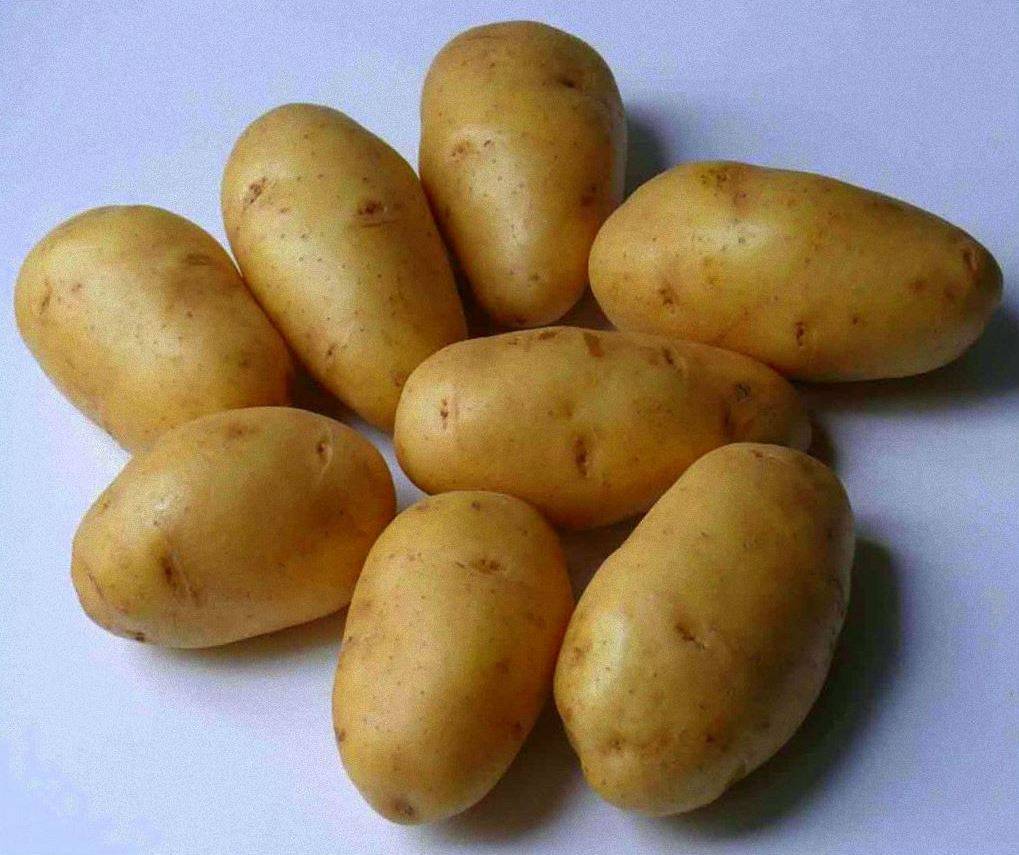 Картофель Лорх 1 кг
