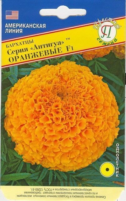 Бархатцы Антигуа Оранжевые F1, семена