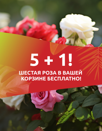 5 + 1! Шестая роза в вашей корзине – бесплатно!