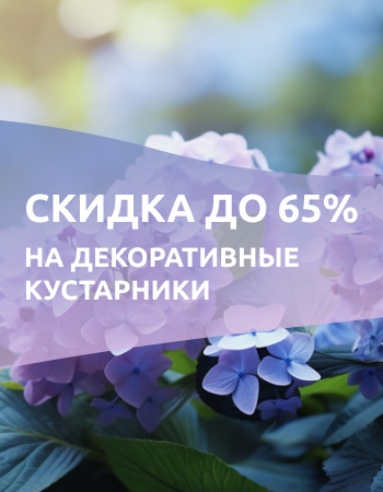 Декоративные кустарники со скидкой до 65%