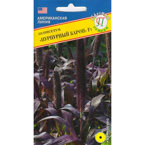 Пенисетум Пурпурный барон F1, семена