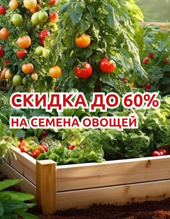 Семена овощей со скидками до 60%