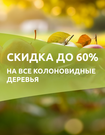 Все колоновидные деревья со скидками до 60%