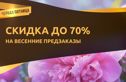 Скидки до 70% на весенние предзаказы 