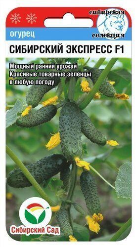 Огурец Сибирский экспресс F1, семена