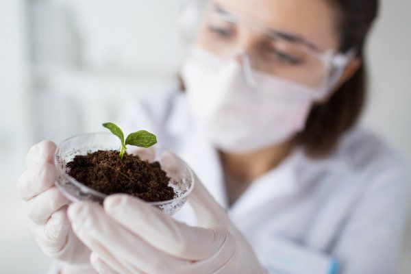 depositphotos_63704315-close-up-of-scientist-with-plant-and-soil-in-lab.jpg