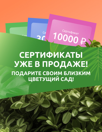 Сертификаты уже в продаже! Подарите своим близким цветущий сад!
