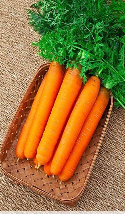 Морковь Самсон, семена на ленте