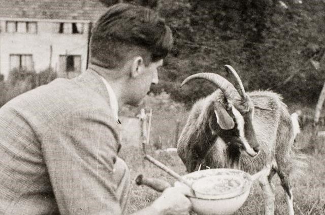 ucl-orwell-and-goat.jpg