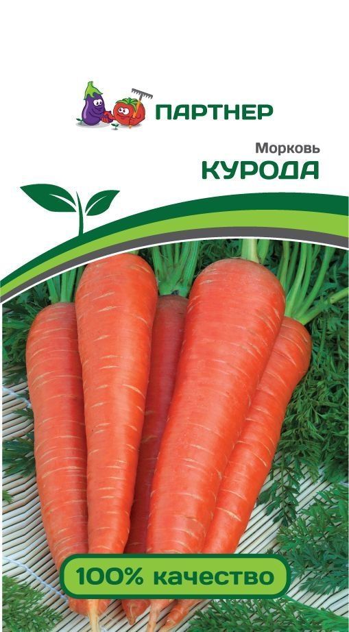 Морковь Курода, семена 1 г
