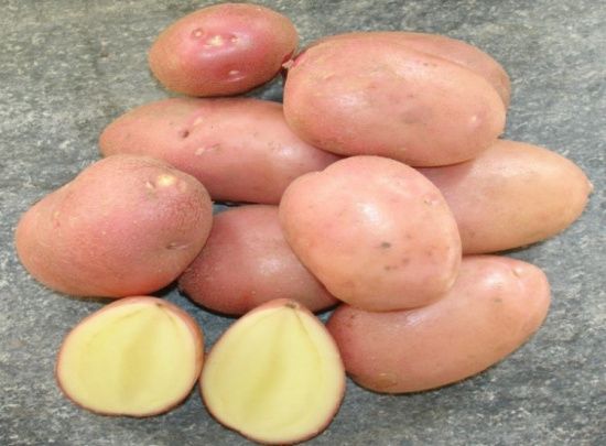 Картофель Гранд 1 кг