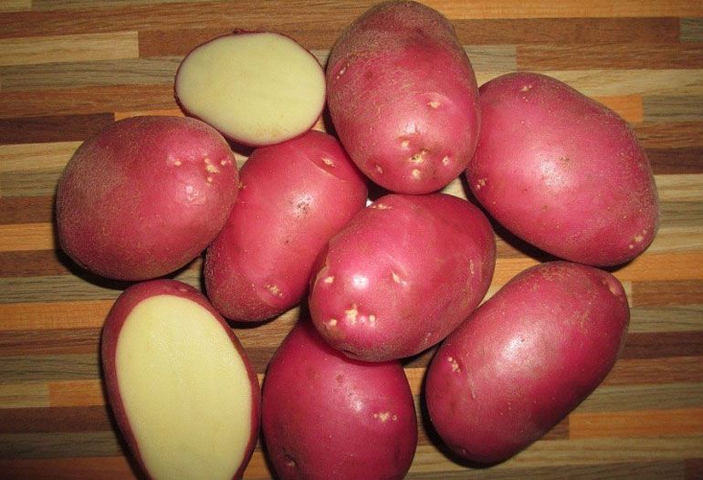 Картофель Рокко 1 кг